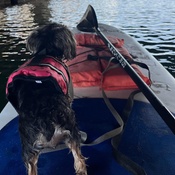 Photo submitted by Melanie