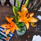 Photo submitted by Corey