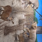 Photo submitted by CiCi