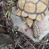 Photo submitted by Tonisha