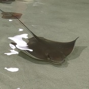 Photo submitted by Kevin