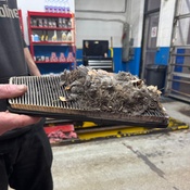 Photo submitted by Elaine