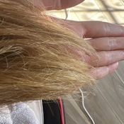 Photo submitted by Hsiang