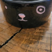 Photo submitted by Tammy