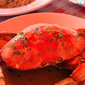 Photo submitted by Silvia