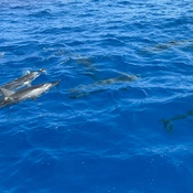 Photo submitted by Karen