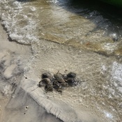 Photo submitted by Anita