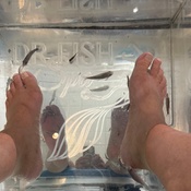 Photo submitted by Albert