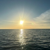 Photo submitted by Guest