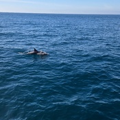 Photo submitted by kathi