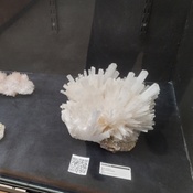 Photo submitted by Lary