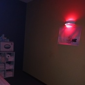 Photo submitted by Veronica