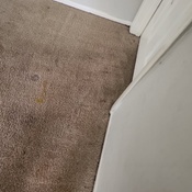 Photo submitted by Shayleen