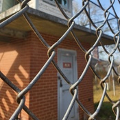 Photo submitted by Shane