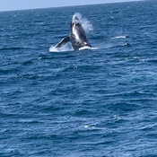 Photo submitted by Elizabeth