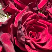 Photo submitted by Patrick