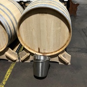 Photo submitted by Salina