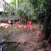 Photo submitted by Rhona