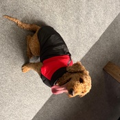 Photo submitted by Lance