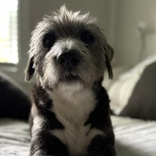 Photo submitted by Carly