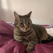 Photo submitted by susan