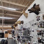 Photo submitted by Sheena