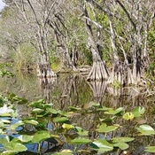 Photo submitted by Tasha