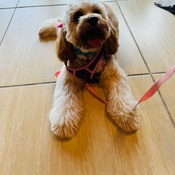 Photo submitted by Nadia