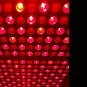 Photo submitted by Guest