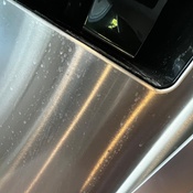 Photo submitted by Jody