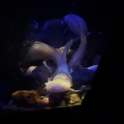 Photo submitted by Guest