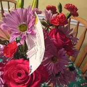 Photo submitted by Eva