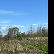 Photo submitted by Nana