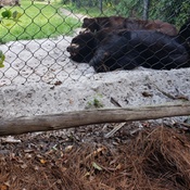 Photo submitted by Cindy