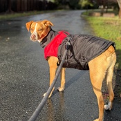 Photo submitted by Chris