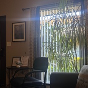 Photo submitted by Alvyn