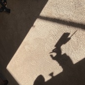 Photo submitted by Ninja