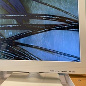 Photo submitted by Ana