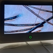 Photo submitted by Linnette