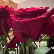 Photo submitted by Patrick