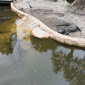 Photo submitted by Tonisha