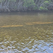 Photo submitted by sam