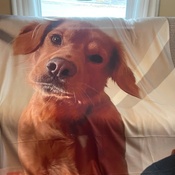 Photo submitted by Guest