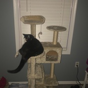 Photo submitted by Tammara