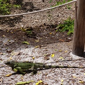 Photo submitted by Cindy