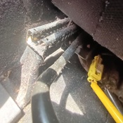 Photo submitted by sharron