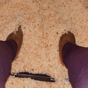 Photo submitted by Kyeema