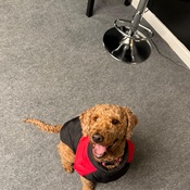 Photo submitted by Lance