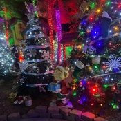 Photo submitted by Rachel