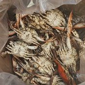 Photo submitted by Lara